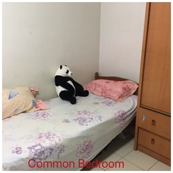 Blk 879 Yishun Street 81 (Yishun), HDB 4 Rooms #245843151